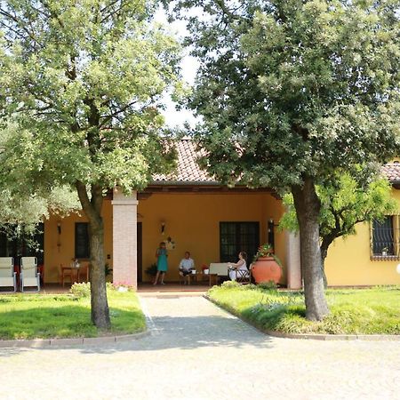 B&B La Vigna Di Federico Rubano Eksteriør billede