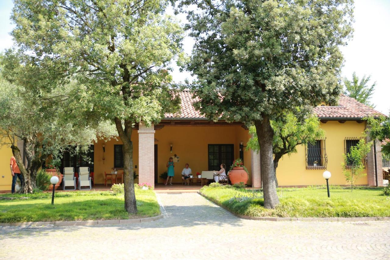 B&B La Vigna Di Federico Rubano Eksteriør billede