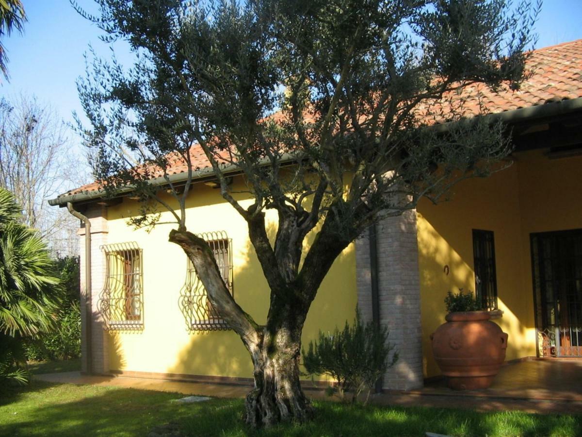 B&B La Vigna Di Federico Rubano Eksteriør billede