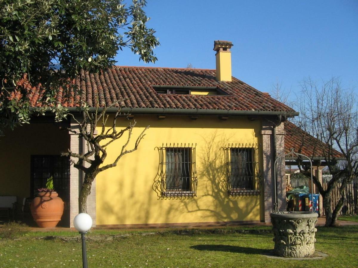 B&B La Vigna Di Federico Rubano Eksteriør billede