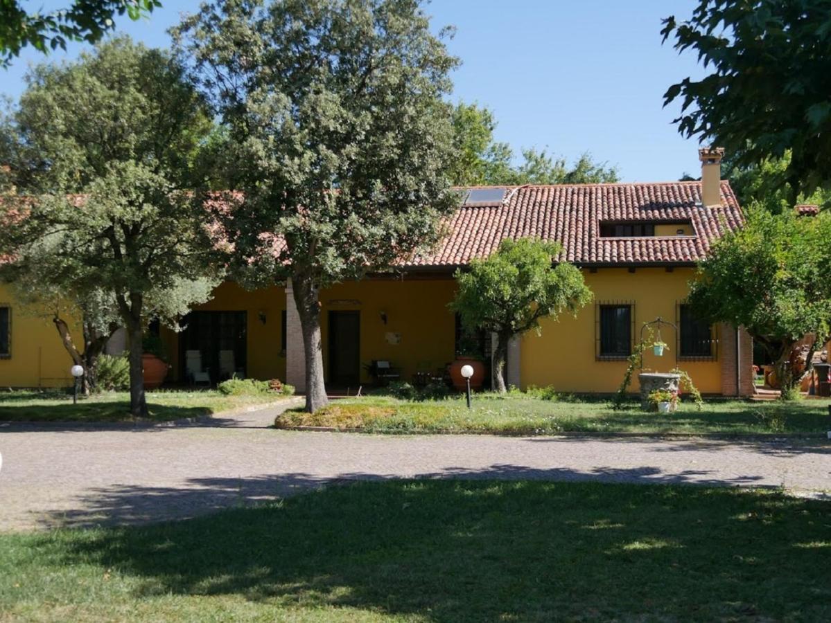 B&B La Vigna Di Federico Rubano Værelse billede