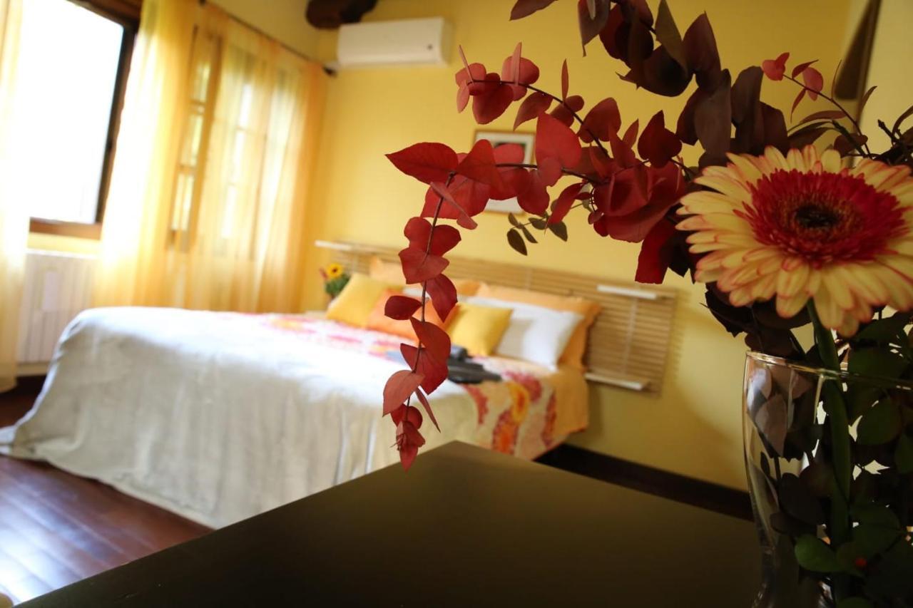 B&B La Vigna Di Federico Rubano Eksteriør billede